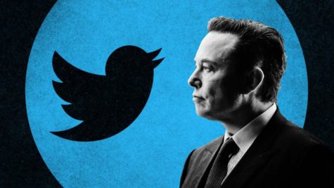 Should Elon Musk Be in Charge of Twitter?
